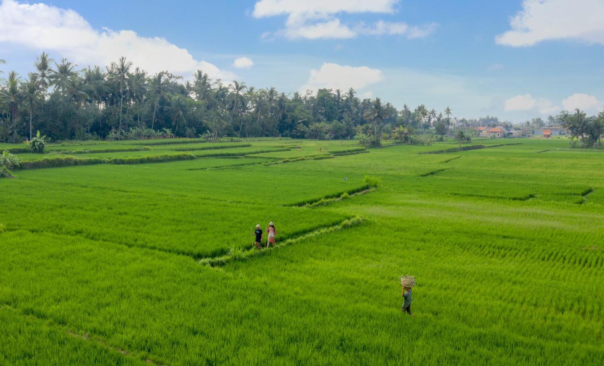 Thewakanda Resort A Pramana Experience Ubud  Exterior photo